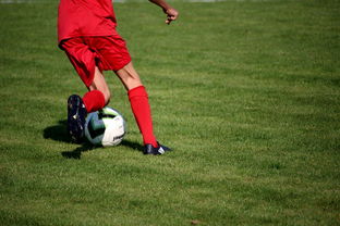 开云真人体育娱乐-中国足球职业俱乐部推动管理层岗位轮训制度，职业足球俱乐部训练计划